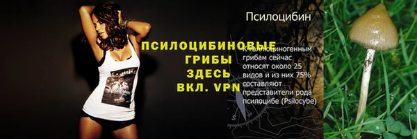 меф Богородск