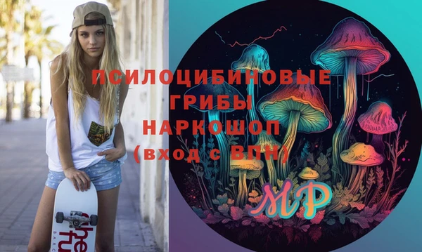 дживик Бронницы