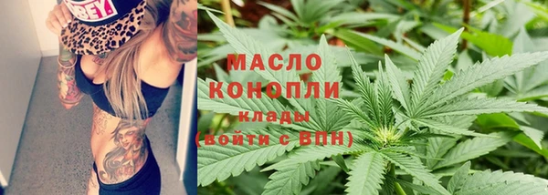 дживик Бронницы