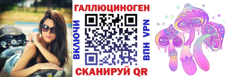 Галлюциногенные грибы GOLDEN TEACHER  где продают   маркетплейс формула  Губкин 